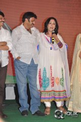 Legend Movie Success Meet